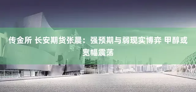 传金所 长安期货张晨：强预期与弱现实博弈 甲醇或宽幅震荡