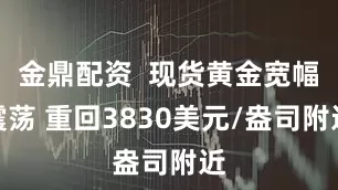金鼎配资  现货黄金宽幅震荡 重回3830美元/盎司附近