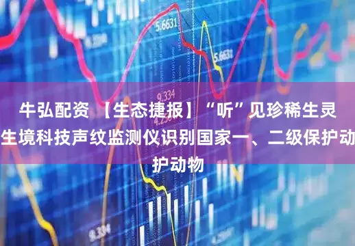 牛弘配资 【生态捷报】“听”见珍稀生灵：生境科技声纹监测仪识别国家一、二级保护动物