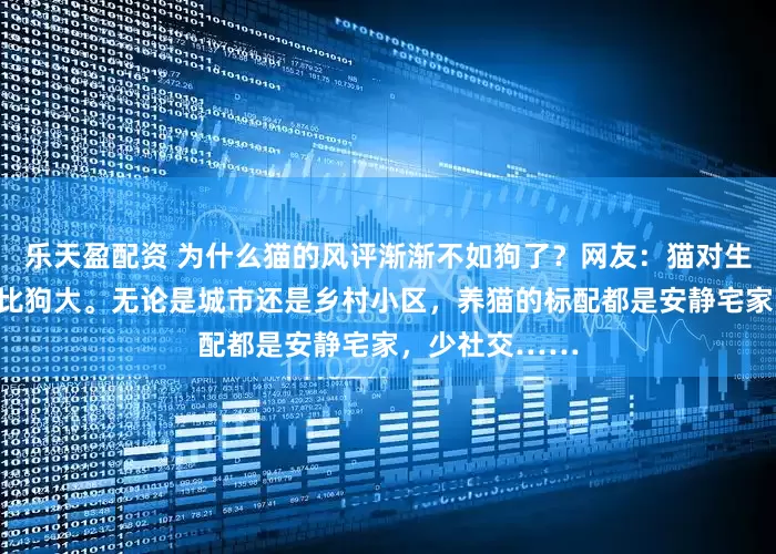乐天盈配资 为什么猫的风评渐渐不如狗了？网友：猫对生活习惯的要求比狗大。无论是城市还是乡村小区，养猫的标配都是安静宅家，少社交……