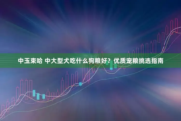 中玉束哈 中大型犬吃什么狗粮好？优质宠粮挑选指南